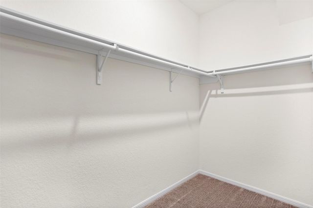 996 Camellia Hills Lane, La Marque, TX 77568