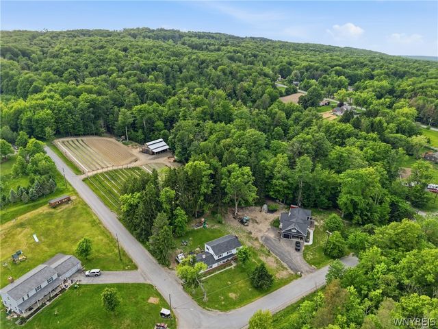 8894 Woodview Drive, Colden, NY 14033