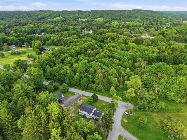 8894 Woodview Drive, Colden, NY 14033