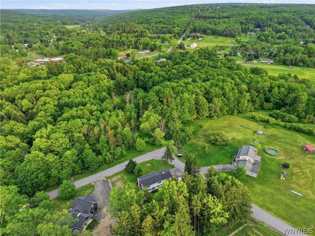 8894 Woodview Drive, Colden, NY 14033