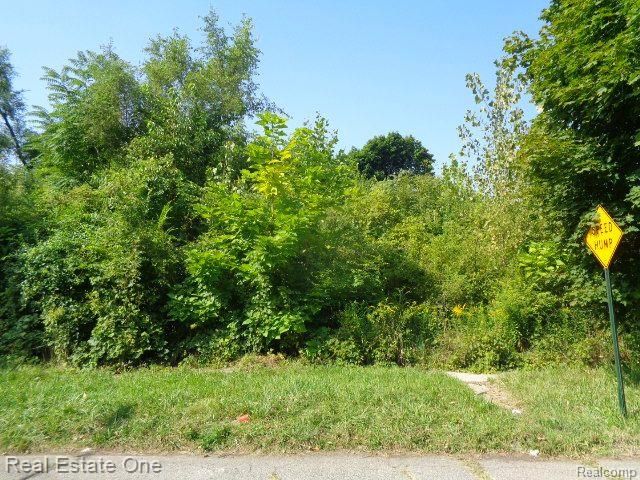 2143 Helen Street, Detroit, MI 48207
