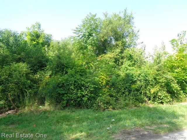 2143 Helen Street, Detroit, MI 48207
