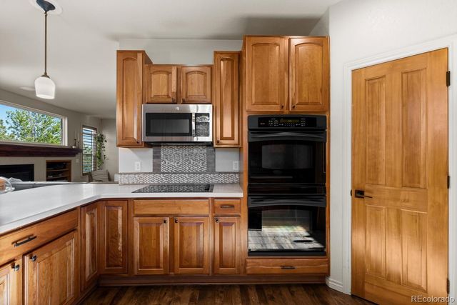10856 Ridge Pointe Lane, Parker, CO 80138