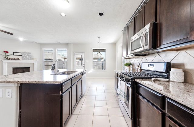 20222 Ray Falls Drive, Tomball, TX 77375