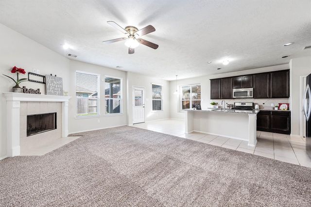 20222 Ray Falls Drive, Tomball, TX 77375