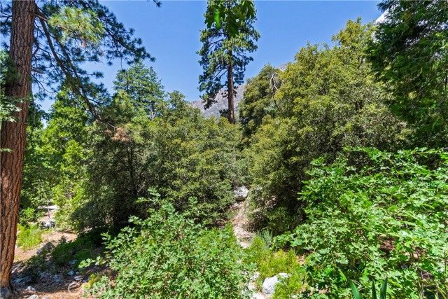 9339 Wood Road, Forest Falls, CA 92339