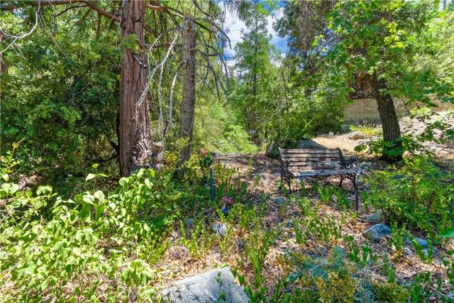 9339 Wood Road, Forest Falls, CA 92339