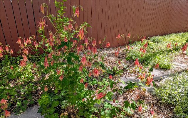 10645 Nucla Street, Commerce City, CO 80022