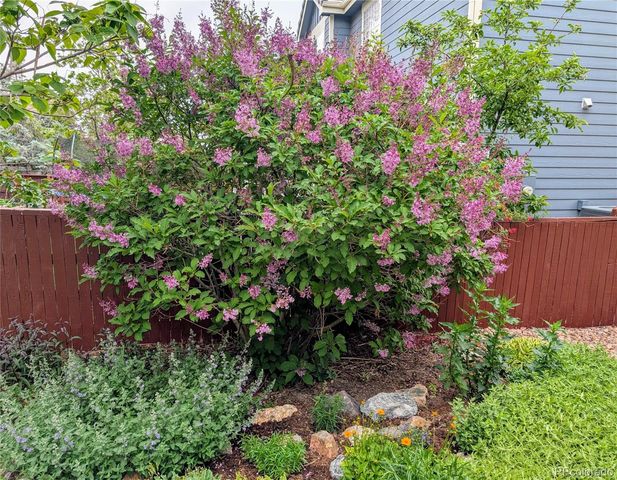 10645 Nucla Street, Commerce City, CO 80022