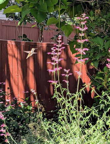 10645 Nucla Street, Commerce City, CO 80022