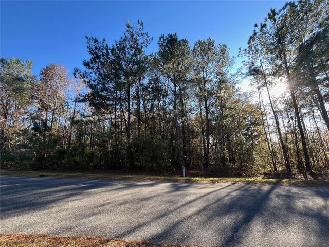 TBD NW 148 LANE, Williston, FL 32696