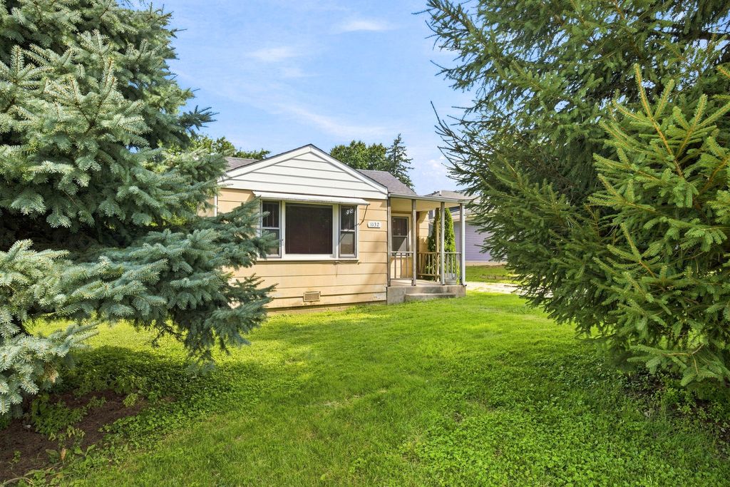 1132 ADELIA Street, Downers Grove, IL 60516 — photo 4