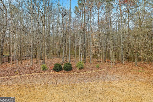 235 Ashmere Court, Tyrone, GA 30290