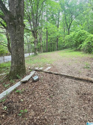 3584 SELF CREEK ROAD, Warrior, AL 35180