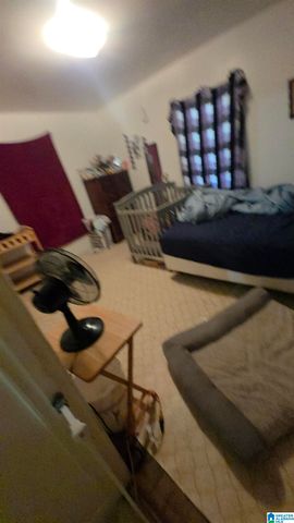 3584 SELF CREEK ROAD, Warrior, AL 35180