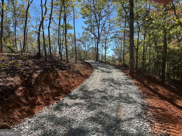 3.71 Yancy Drive, Dawsonville, GA 30534