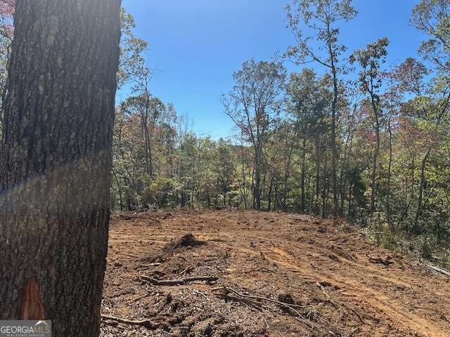 3.71 Yancy Drive, Dawsonville, GA 30534