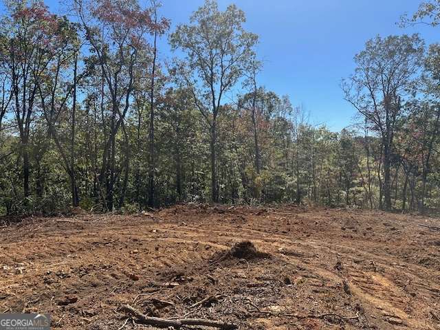 3.71 Yancy Drive, Dawsonville, GA 30534