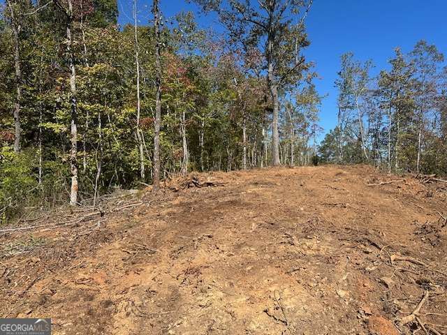 3.71 Yancy Drive, Dawsonville, GA 30534