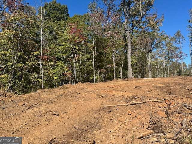 3.71 Yancy Drive, Dawsonville, GA 30534