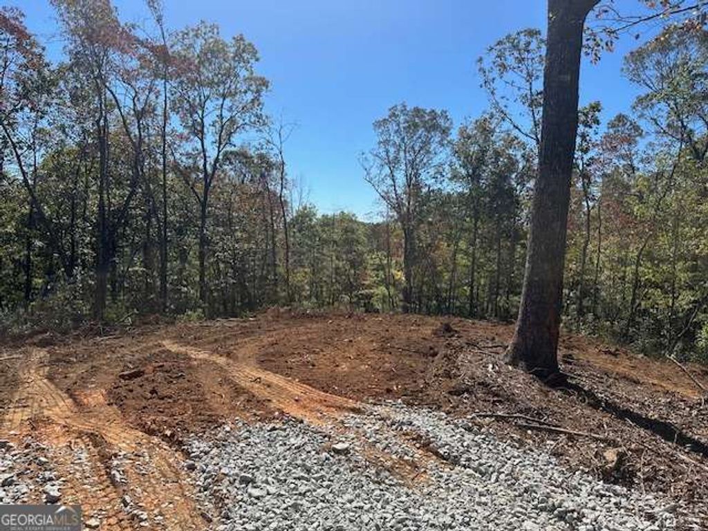 3.71 Yancy Drive, Dawsonville, GA 30534