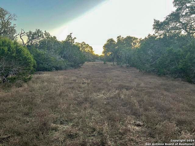 6511 FM 311, Spring Branch, TX 78070
