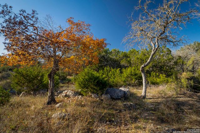 6511 FM 311, Spring Branch, TX 78070
