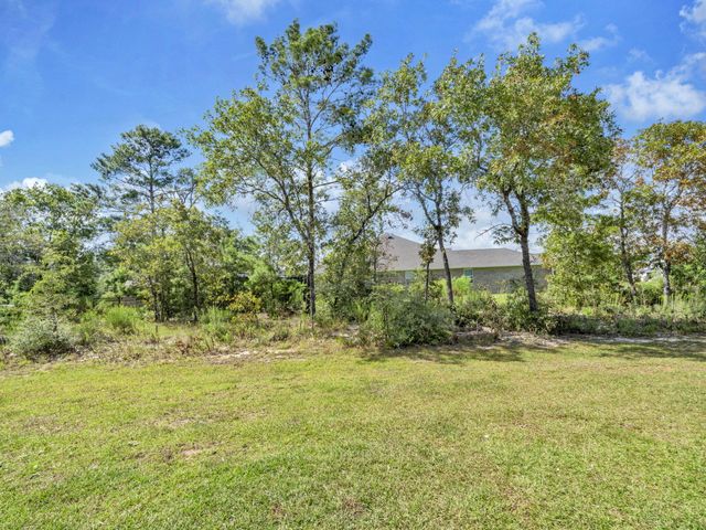 1056 Brushed Dune Circle, Freeport, FL 32439