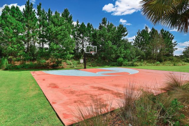 1056 Brushed Dune Circle, Freeport, FL 32439