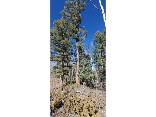 6060 Forbes Rd, San Luis, CO 81152