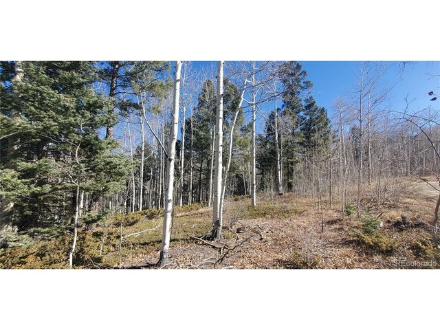 6060 Forbes Rd, San Luis, CO 81152