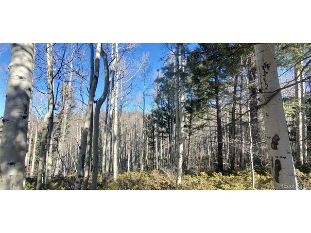 6060 Forbes Rd, San Luis, CO 81152