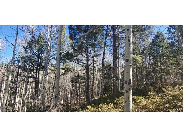 6060 Forbes Rd, San Luis, CO 81152