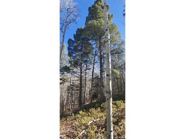 6060 Forbes Rd, San Luis, CO 81152