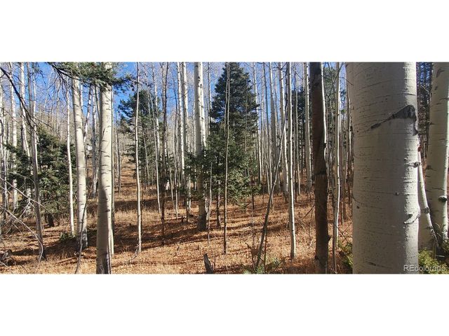 6060 Forbes Rd, San Luis, CO 81152