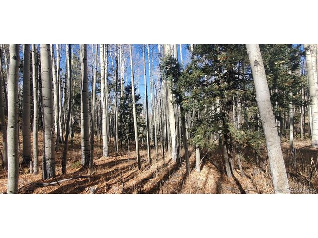 6060 Forbes Rd, San Luis, CO 81152