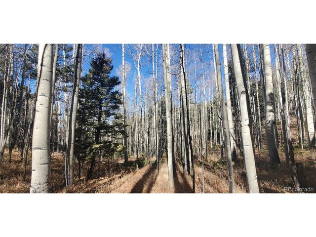 6060 Forbes Rd, San Luis, CO 81152