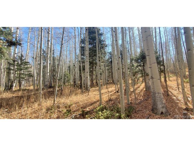 6060 Forbes Rd, San Luis, CO 81152