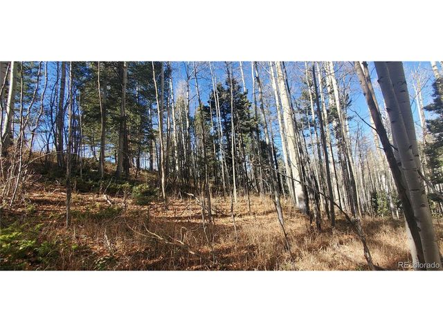 6060 Forbes Rd, San Luis, CO 81152