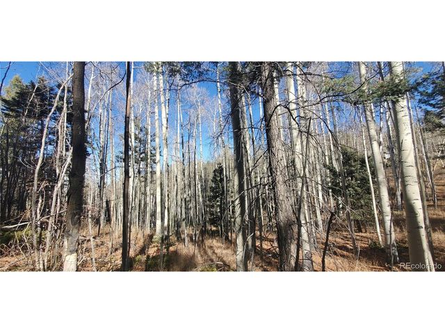 6060 Forbes Rd, San Luis, CO 81152