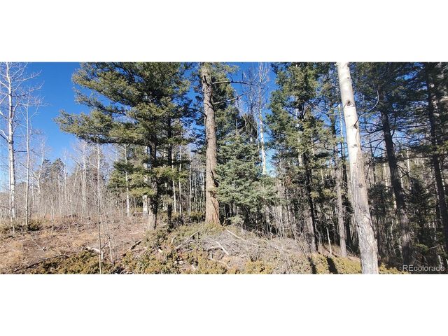 6060 Forbes Rd, San Luis, CO 81152