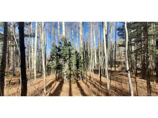 6060 Forbes Rd, San Luis, CO 81152