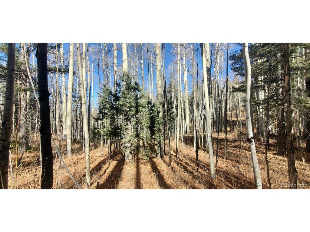 6060 Forbes Rd, San Luis, CO 81152