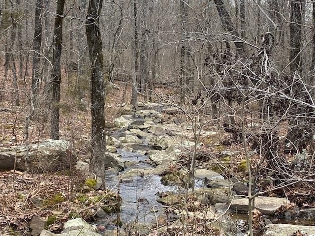 Lot 75 Mustang Drive, Clinton, AR 72031