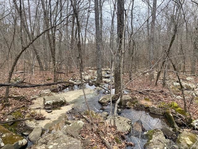 Lot 75 Mustang Drive, Clinton, AR 72031