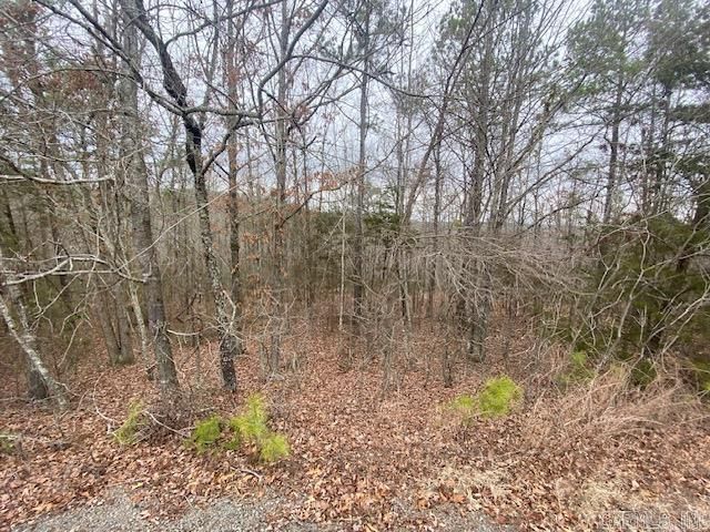 Lot 75 Mustang Drive, Clinton, AR 72031