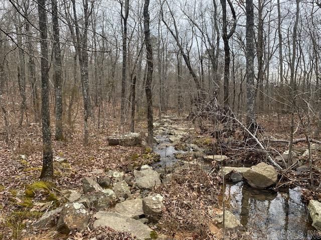 Lot 75 Mustang Drive, Clinton, AR 72031