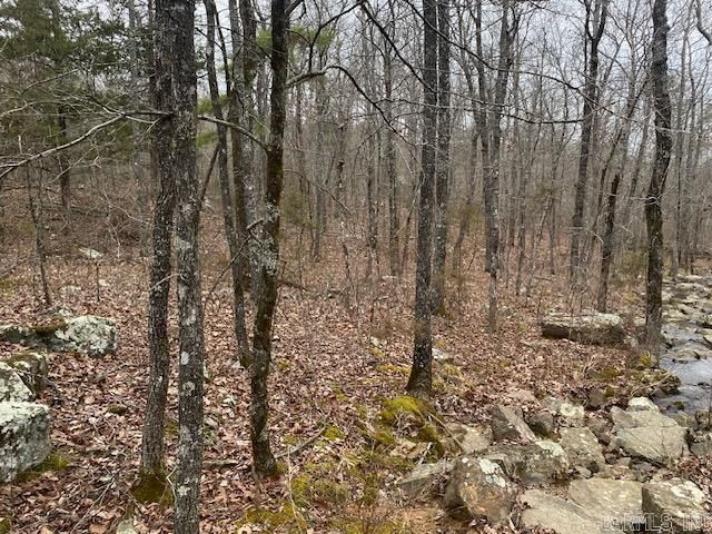 Lot 75 Mustang Drive, Clinton, AR 72031