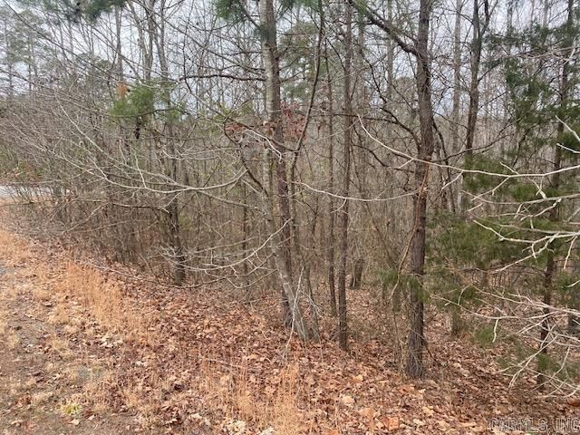 Lot 75 Mustang Drive, Clinton, AR 72031