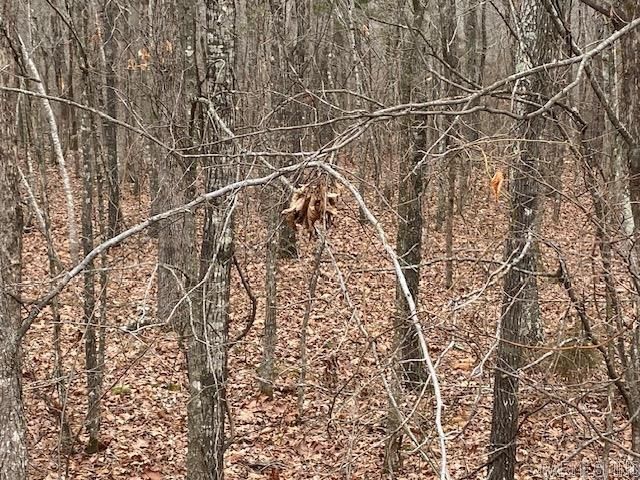 Lot 75 Mustang Drive, Clinton, AR 72031